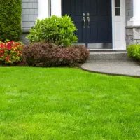 picture of lawn with the front of a house in the background